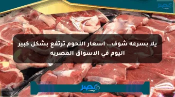 يلا بسرعة شوف.. أسعار اللحوم ترتفع بشكل كبير اليوم في الأسواق المصرية